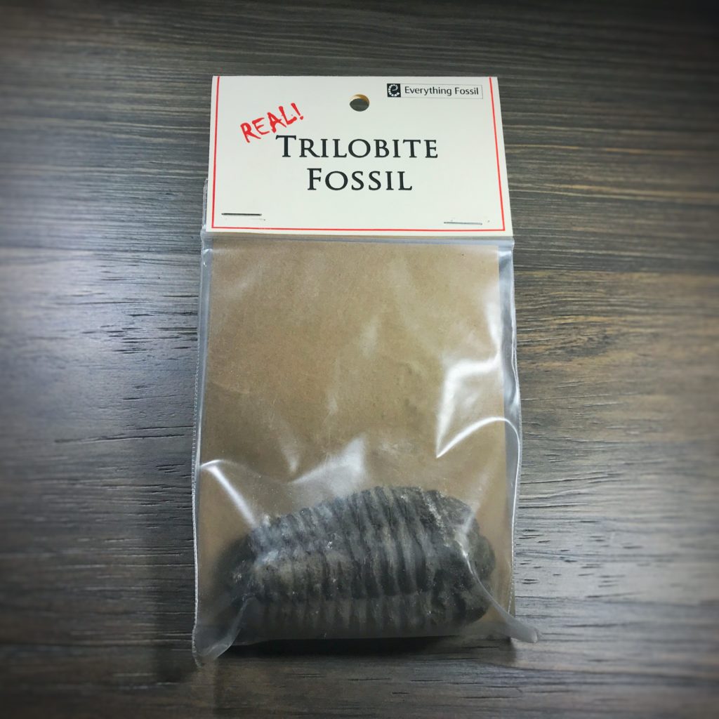 Trilobite