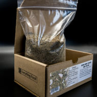 Real Fossil Discovery Kit