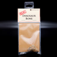Real Dinosaur Bone