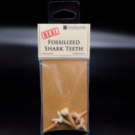 Real Fossilized Shark Teeth
